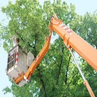 Dependable Tree Service - Baton Rouge