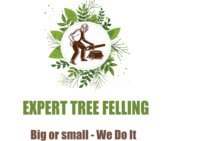Expert Tree Felling