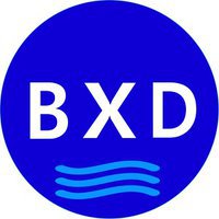BXD Systems Ltd