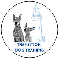 Transition Dog Training