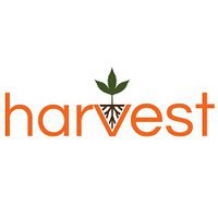 harvest | Medical Cannabis Healthcare Centre | Sydney