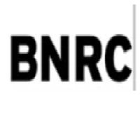 BNRC LLC