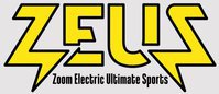 Zoom Electric Ultimate Sports