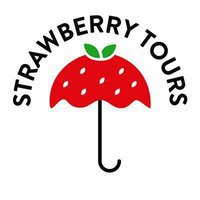 Strawberry Tours - Free Walking Tours Buenos Aires