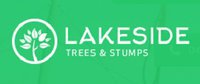 Lakeside Trees and Stumps 