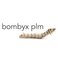 Bombyx PLM