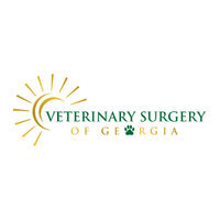 Vet Surgery of Georgia