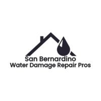 Water Damage Repair Pros