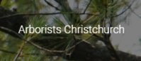 ArboristsChristchurch.co.nz