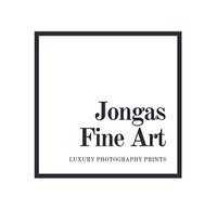 Jongas Fine Art Gallery Las Vegas