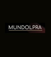 Mundolepra - Réplica de bolso BOTTEGA VENETA