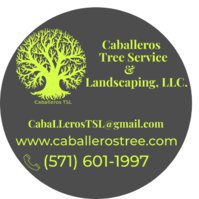 Caballeros Tree Service & Landscaping, LLC.