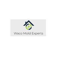 Waco Mold Experts