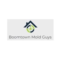 Boomtown Mold Guys