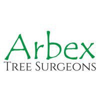 Arbex Tree Surgeons