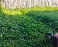 Whangarei Lawn Mowing Services