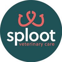 Sploot Veterinary Care - 9+CO