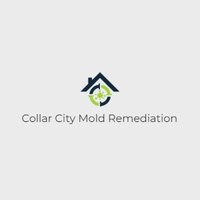Collar City Mold Remediation