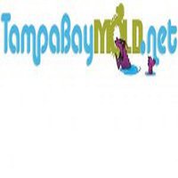 TampaBayMold.net- Brandon FL
