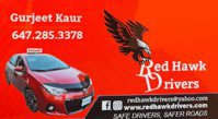 Red Hawk Drivers