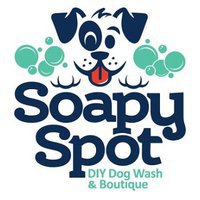 The Soapy Spot