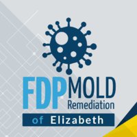 FDP Mold Remediation of Elizabeth