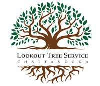 Look Out Tree Service Chattanooga