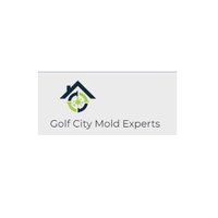 Golf City Mold Experts