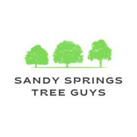 Sandy Springs Tree Guys