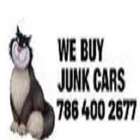 Junk Car Cat Miami