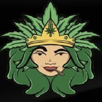 Queen Cannabis NYC Marijuana Weed Dispensary