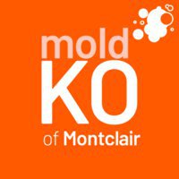 Mold KO of Montclair