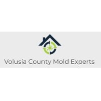 Volusia County Mold Experts