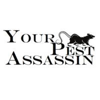Your Pest Assassin