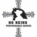 No Reins Performance Horses LLC