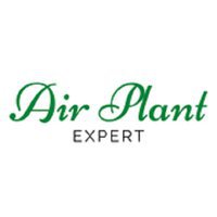 Air Plant Expert