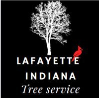 Lafayette Indiana Tree Service