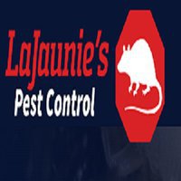 Termites | Services | LaJaunie's Pest Control | New Orleans