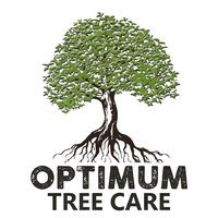 Optimum Tree Care