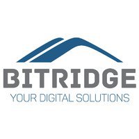 BITRIDGE LLC