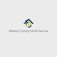 Albany County Mold Service