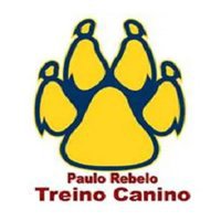 Paulo Rebelo - Treino Canino