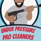 Under Pressure Pro Cleaners LLC