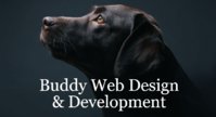 Buddy Web Design & Development