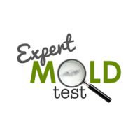 Expert Mold Test