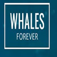 Whales Forever - A Study of Whales