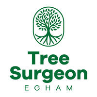 Tree Surgeon Pros Egham