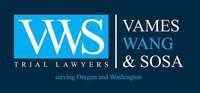 Vames, Wang & Sosa, Trial Lawyers