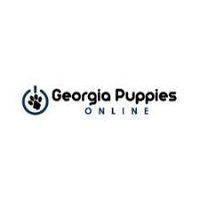 Georgia Puppies Online