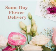  Flower Shop Dubai | Flower Delivery Dubai | Flowers Dubai